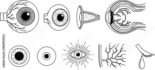 Eye anatomy icons set: monochrome linear styles for medical design
