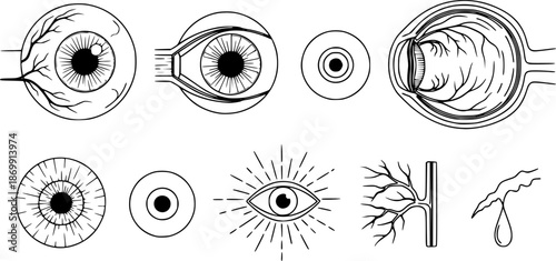 Eye anatomy icons set: monochrome linear styles for medical design
