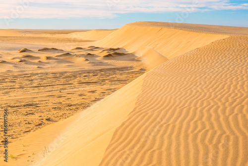Dunas de arena de la Punta del Fangar. Paisaje desértico bajo un cielo azul. Parque Natural del Delta del Ebro, España. 