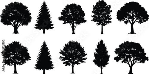Black silhouette collection of various forest trees including oak maple pine and spruce isolated on a white background for design