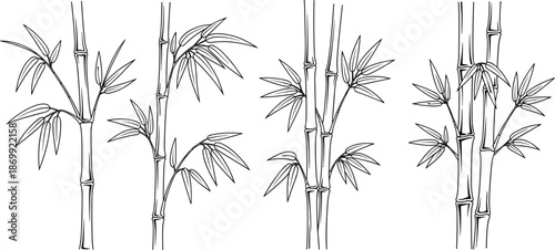  Minimalist black and white bamboo line art collection with tropical leaves and stalks isolated on white background for zen design.