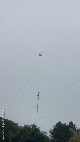 Helicopter Lifting Tree, Helicopter Suspends Giant Tree Over Dense Treetops During Day, Aerial Vehicle Elevates Massive Conifer Overhead In Scenic Rural Landscape During Daylight Hours