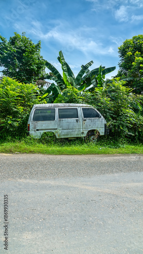 A passenger car is forgotten in the rainforest, rusting and overgrown with climbing bloom plants. Nature takes its toll back