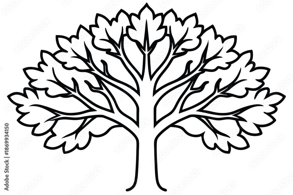Obraz premium Clean Symmetrical Oak Tree Line Art Drawing for Contemporary Graphic Assets
