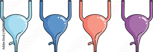 Human urinary bladder anatomy illustration set in different colors medical organ diagram flat vector isolated on white background