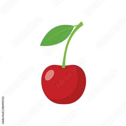 Fresh Red Cherry Fruit Vector Illustration