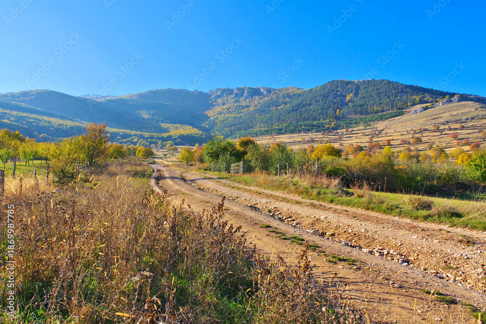 Fototapeta premium herbstliche Landschaft in den Karpaten von Rumänien - autumnal landscape in the Carpathians of Romania