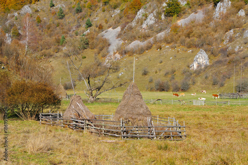 Fundatura Ponorului am Via Transilvanica Wanderweg in Siebenbürgen, Rumänien - Fundatura Ponorului on Via Transilvanica hiking trail, Romania