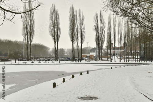 Fotografi Peupliers bordant l'étang principal sous la neige et la glace au parc de la Doda