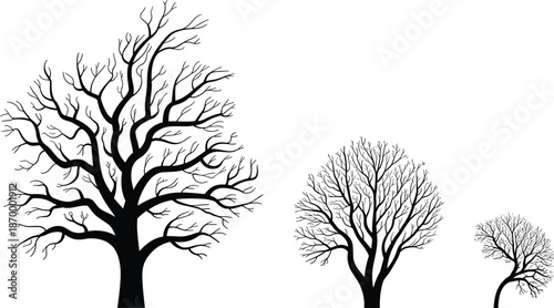 Silhouette bare trees illustration in minimalist style showing growth stages lifecycle black and white nature design element for environmental awareness sustainable development forestry education bota