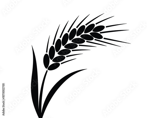 Isolated black and white wheat stalk grain harvest for agriculture farming industry organic food production cereal crop concept healthy eating nutrition symbol simple minimalist design element for pac
