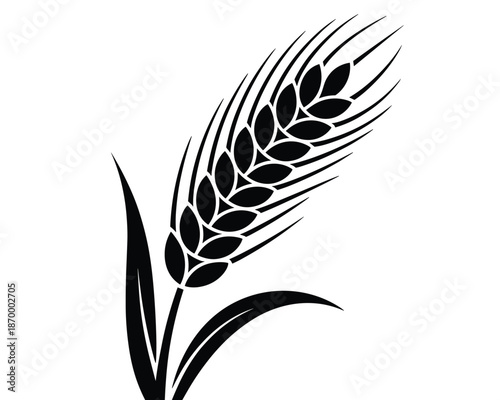 Stylized black wheat stalk grain vector illustration on white background minimalist harvest crop design element for organic farm business branding agriculture product packaging food industry logo or h