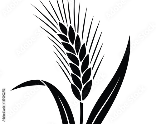 Black and white wheat stalk illustration on white background for food agriculture or nature concept organic grain harvest design element simple minimalistic clean style template for presentations and