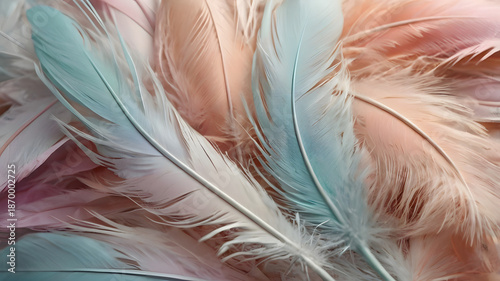 colorful feathers background