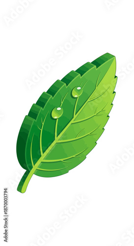 Vibrant Isometric Mint Leaf App Icon for Freshness & Vitality. transparent. svg.