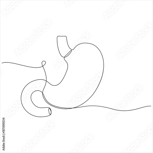 Human stomach anatomy one line drawing continuous gastrointestinal vector illustration