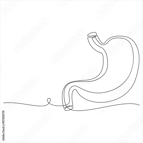 Minimal one line human stomach medical gastrointestinal line art vector