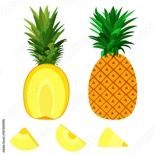 Pineapple illustration