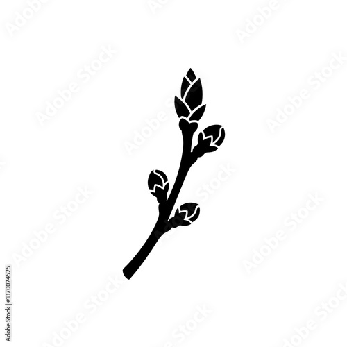 Silhouette of cherry branch with buds for pruning stage visuals and growth tracking