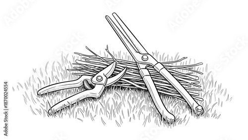 Line art of pruning shears and loppers on grass with cut twigs for cherry tree maintenance visuals