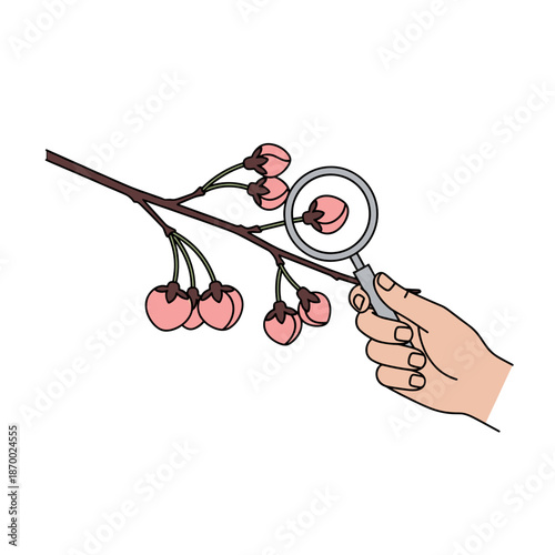 Hand inspecting cherry tree buds with magnifying glass for pruning and growth monitoring illustration