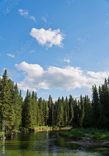 The shore along an Alberta river.