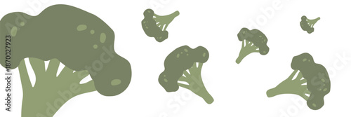 Fresh green broccoli, vector illustration, healthy food, organic vegetables, for banners and web design