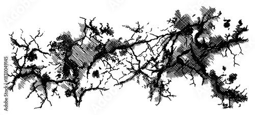 Horizontal texture of tangled tree branches or roots in grunge style