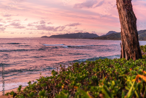 Tranquil tropical beach at sunset with pink and purple sky, ocean waves, and lush vegetation