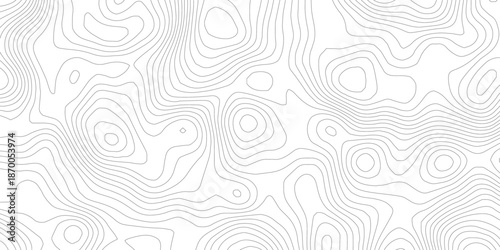 Abstract Topographic Terrain Map Texture with Light Gray Organic Contour Lines and Smooth Flowing Curves on White Background for Geographic, Navigation and Creative Design