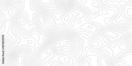 Abstract Geographic Topographic Map Pattern with Light Gray Flowing Contour Lines on White Background Simulating Terrain Elevation for Navigation, Cartography and Creative Design