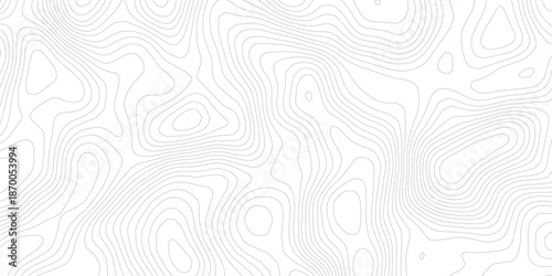 Abstract Topographic Contour Line Pattern in Light Gray on White Background with Organic Flowing Curves, Minimal Geographic Map Texture and Wavy Terrain Relief Design