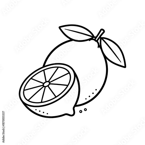 Minimalist line art lemon illustration with leaves and half slice