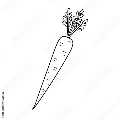 Minimalist line art carrot with leaves