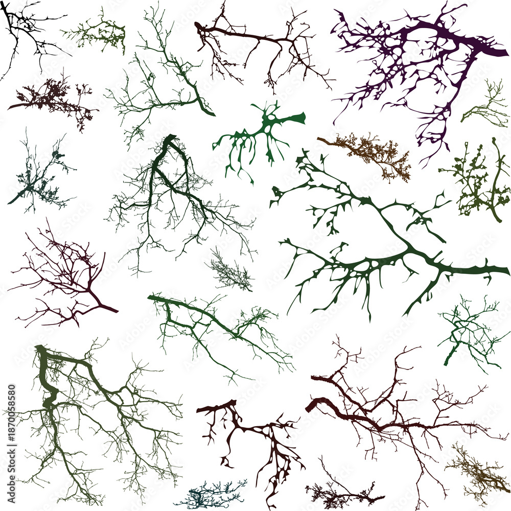 Obraz premium Natural Colored Tree Branches on White Background