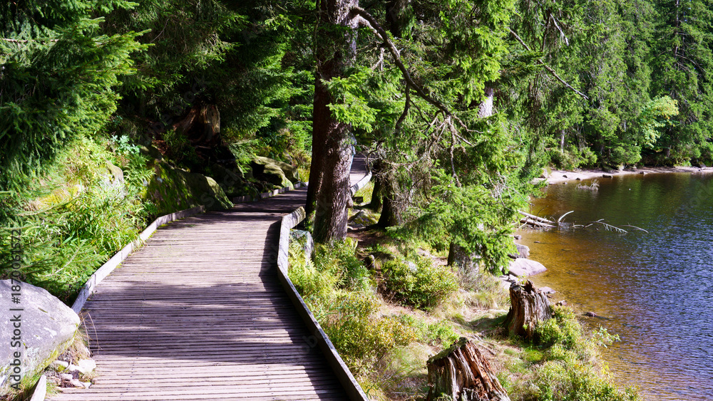 Naklejka premium Wooden path made of planks in a natural landscape. Boardwalk road in nature, outdoor scenery.