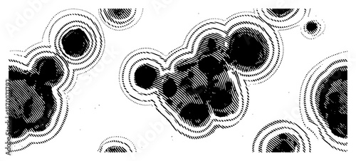 Abstract organic biological cell patterns and shapes in vintage engraving style