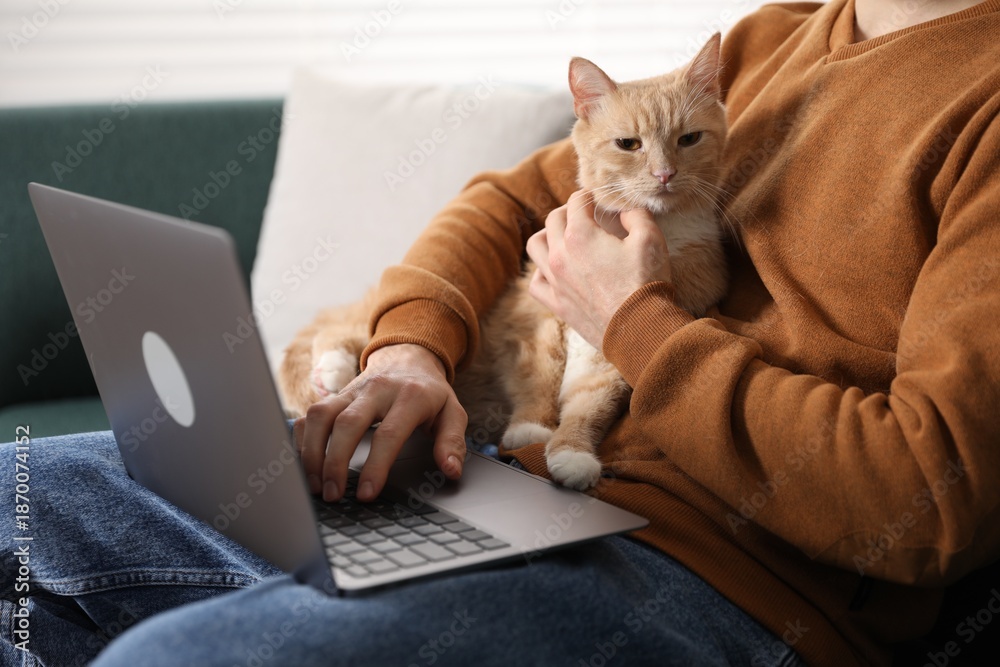 Fototapeta premium Man with his cute cat using laptop on sofa at home, closeup