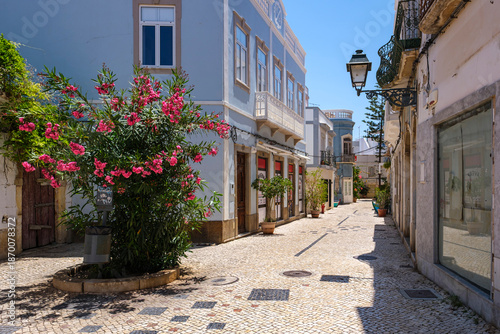 Charming Street Scene in Olhão, Portugal – Blooming Flowers, Cobblestones, and Blue Facades
