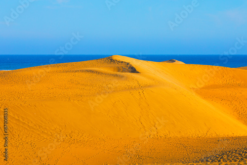 Fotografija Golden sand dunes of Maspalomas in Gran Canaria meet blue Atlantic Ocean under clear sky