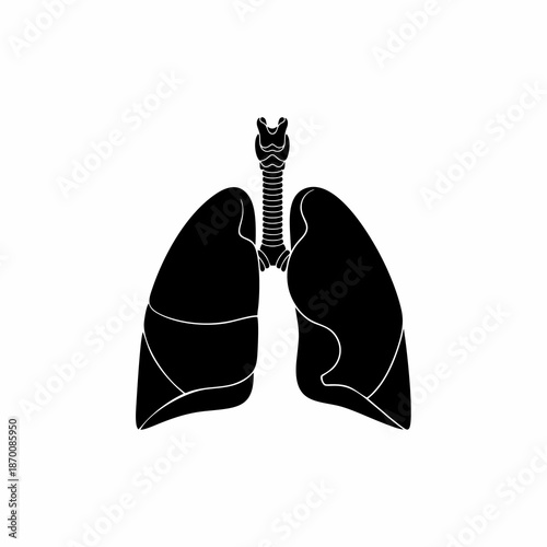 Vector of human lungs on white background