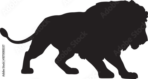 Powerful Majestic Male Lion Silhouette Walking Side View Isolated on White background