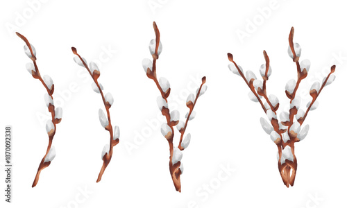 Hand-painted watercolor Easter illustration featuring delicate set of willow catkins pussy willow branches. Soft pastel tones and organic brushstrokes 