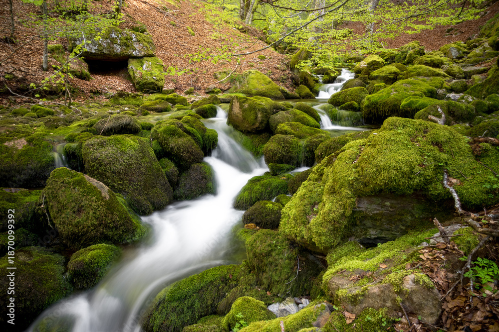 Obraz premium Moss-Covered Rocks and Stream in Argovejo beech Forest, León, Castilla y Leon, Spain