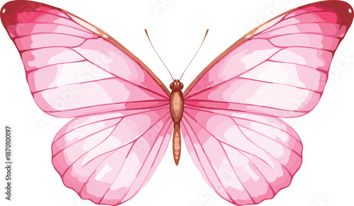 Pink butterfly illustration with symmetrical wings, white highlights, and realistic details for decorative and artistic design