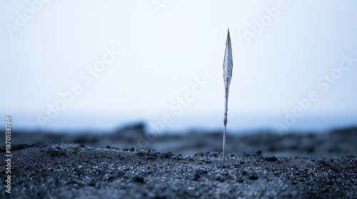A Solitary Spear Rises From the Dark Shore Under a Muted Sky, Capturing the Essence of Isolation and Mystery in a Barren Landscape