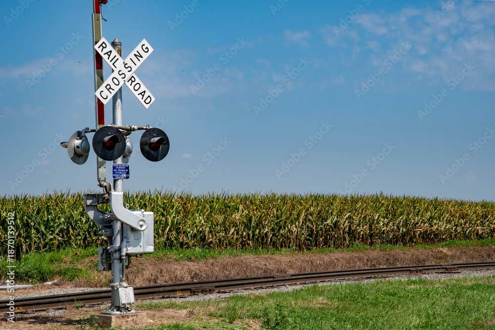 Fototapeta premium A railroad crossing sign stands next to a set of train tracks. A cornfield stretches into the distance under a blue sky. It is a sunny afternoon in the countryside.