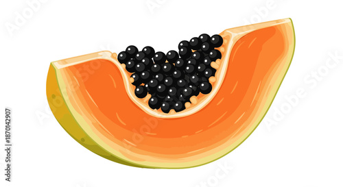 A vibrant, detailed illustration of a single ripe papaya slice, showing its orange flesh, numerous black seeds, and yellowish-green skin.
