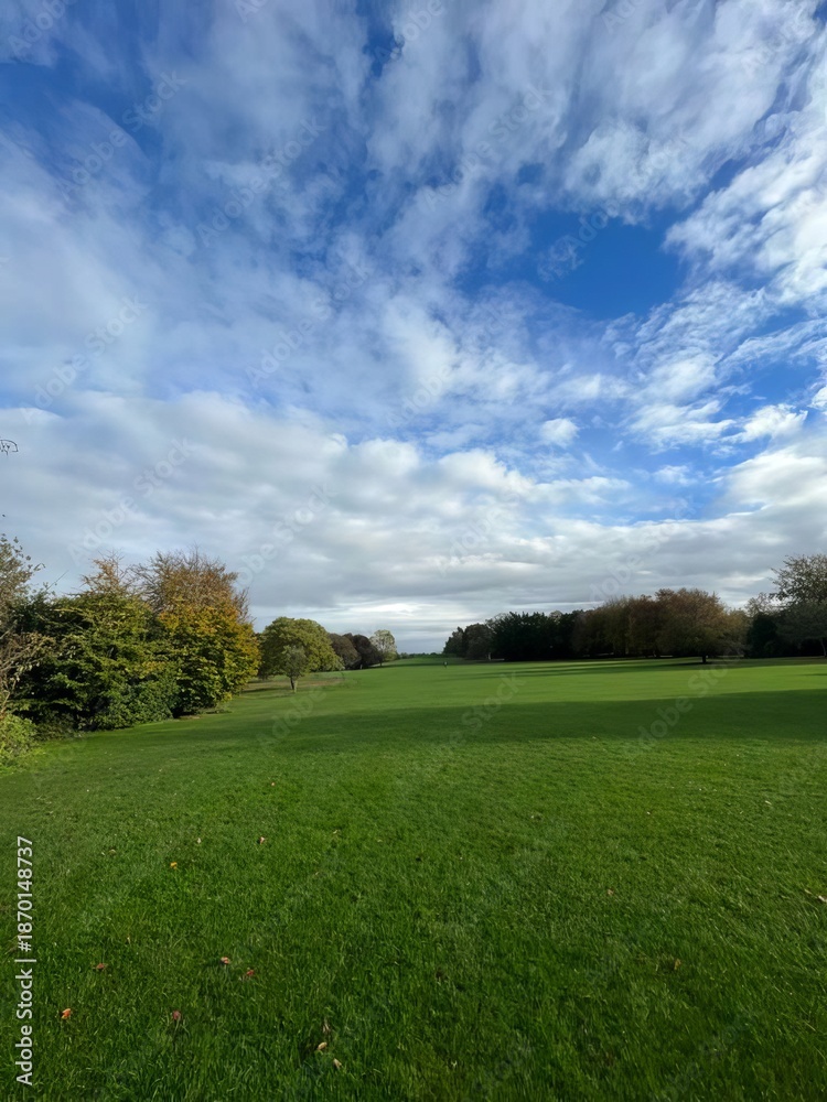 Fototapeta premium green grass cloudy sky