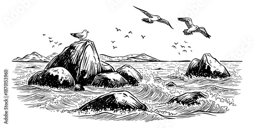 Seagulls Flying Over Rocks and Crashing Waves in a Dynamic Ocean Landscape Engraving